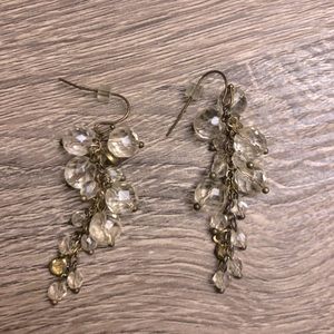 Anthropologie beaded grape vine dangling earring.